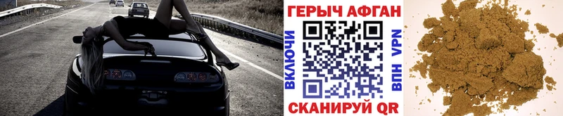 ГЕРОИН хмурый  Вышний Волочёк 