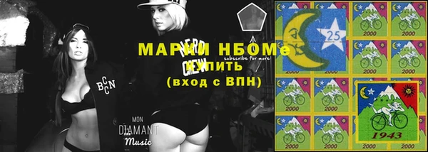 дживик Белокуриха
