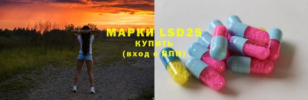 индика Белоозёрский