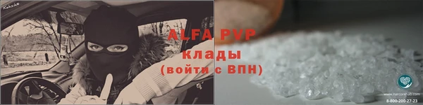 индика Белоозёрский