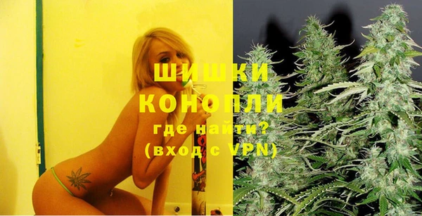 дживик Белокуриха
