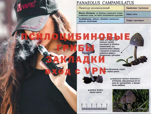 индика Белоозёрский