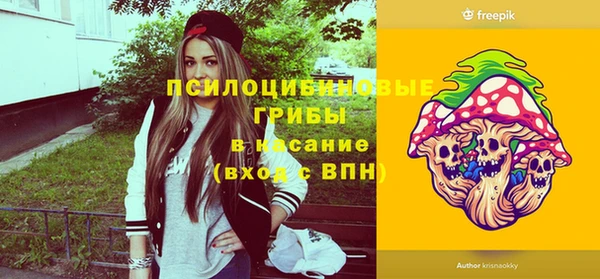 индика Белоозёрский