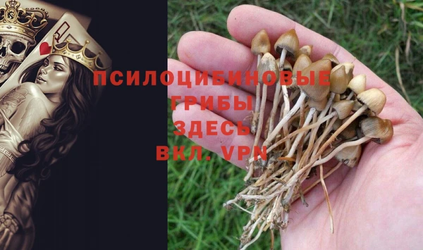 индика Белоозёрский