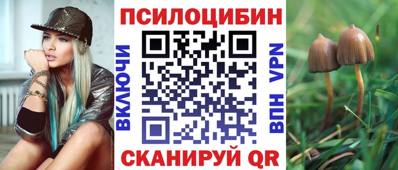 Псилоцибиновые грибы мицелий  Вышний Волочёк 